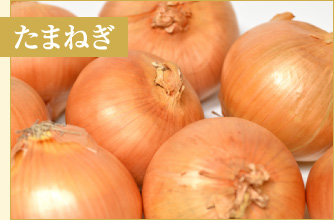 たまねぎ